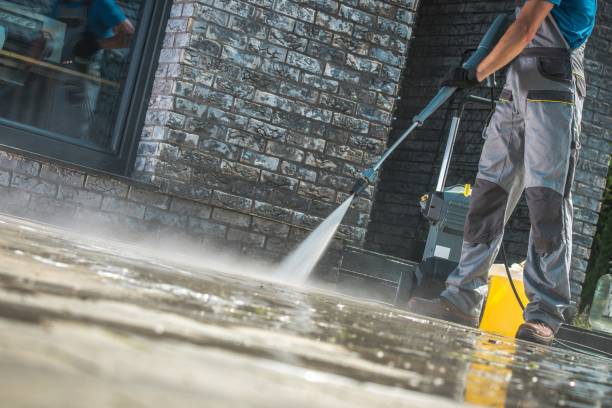 Best Soft Washing for Delicate Surfaces in Mound, MN